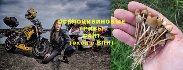 эйфоретик Нефтекумск