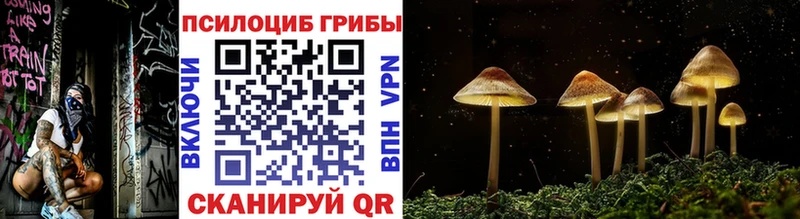 Галлюциногенные грибы Cubensis  Адыгейск 
